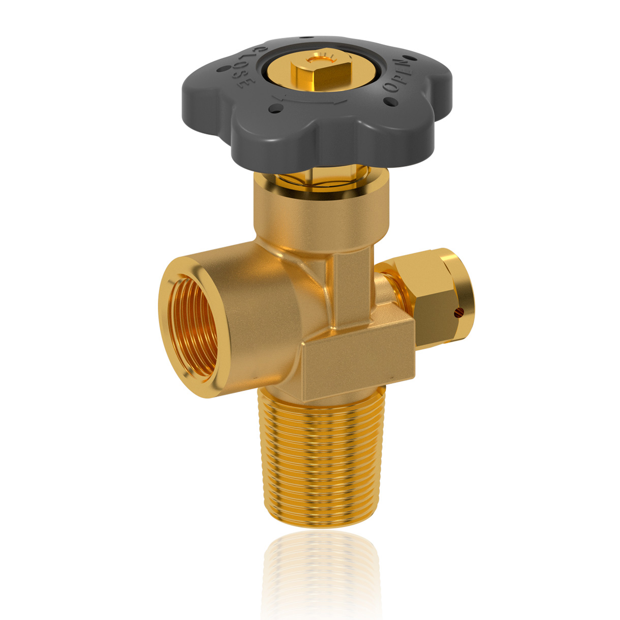 Inert gas valve for industrial safety applications